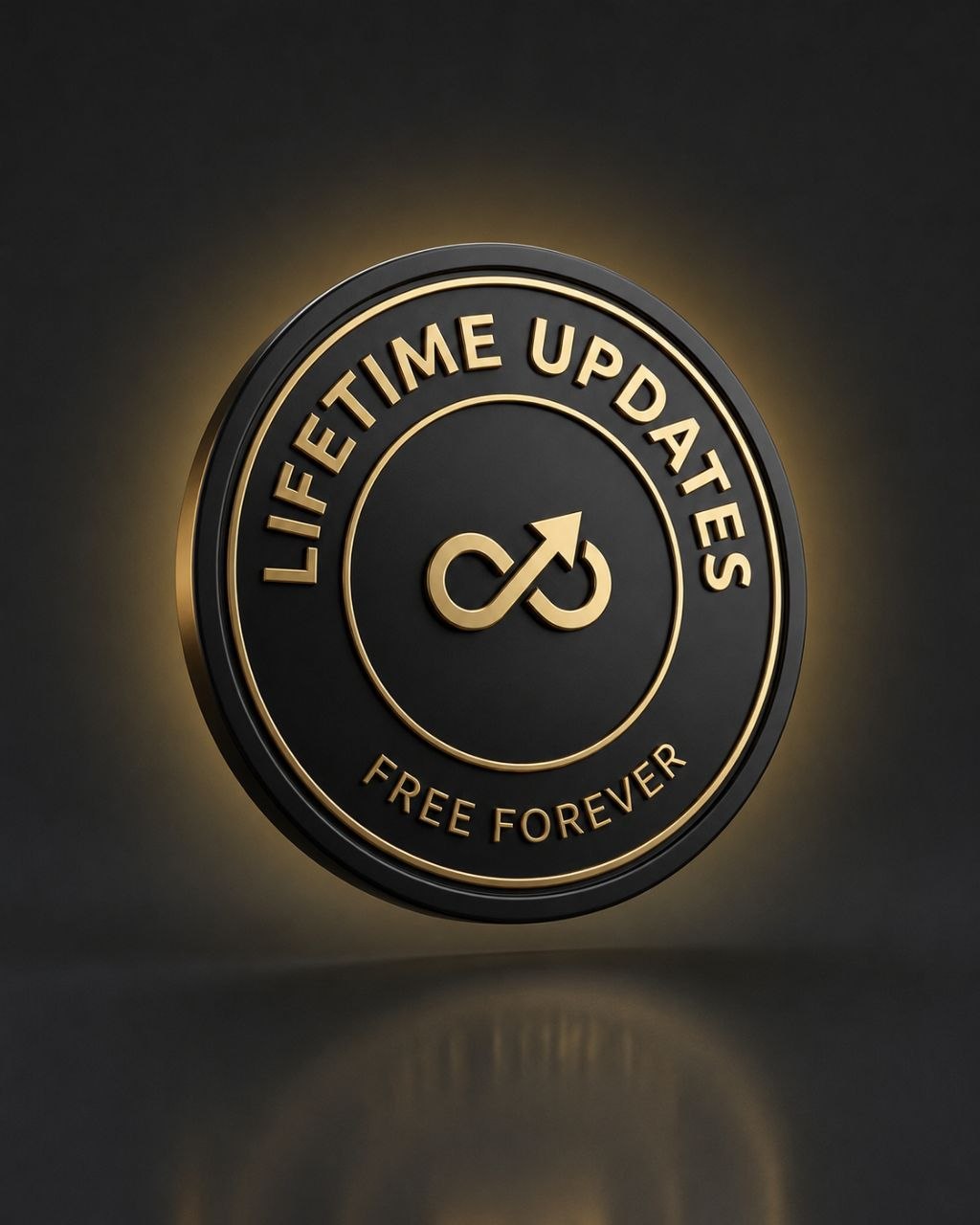 Bonus 3 — Lifetime Updates